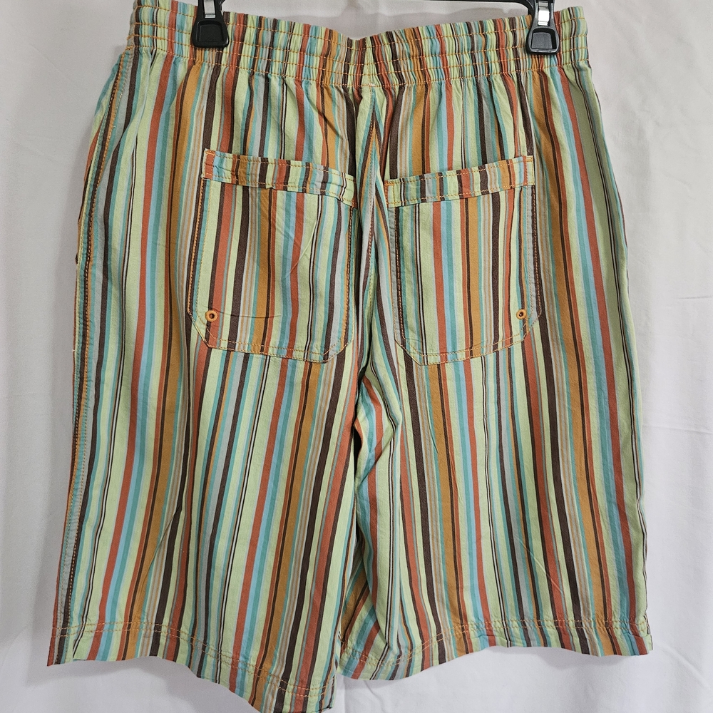 Free People Multicolor Striped Women Shorts - Picture 2 of 7